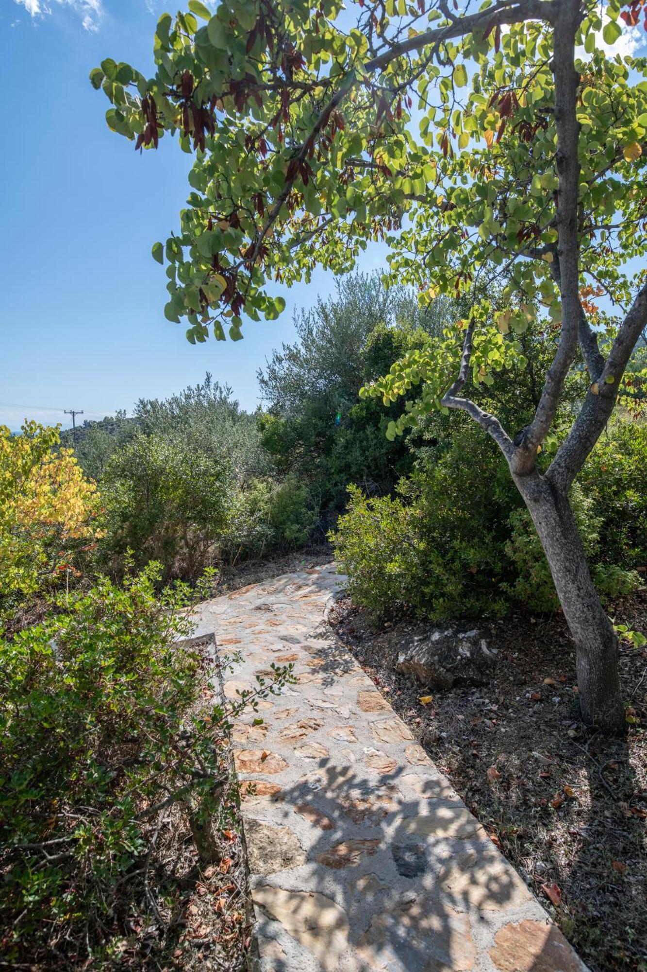 Elea Villas Steni Vala Alonissos 외부 사진